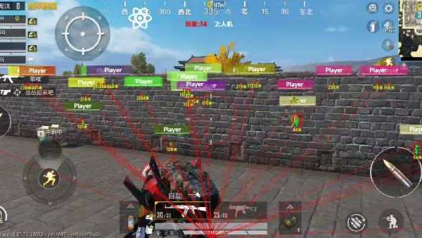 和平精英辅助【哪吒容器直装】全图透视 观战透视 增加爆率 锁死自瞄 掩体漏打 物资显示